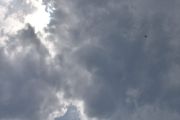 Morten 24 juli 2025 - LN-RGO over Høyenhall, klokken er 13.38 og jeg tror det er SAS Scandinavian Airlines som kommer med sin Airbus A320-251N fra 2016 og som heter Brage Viking. Her fikk vi med det som er av solen også