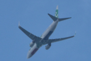 Morten 24 juli 2025 - Transavia over Høyenhall, jeg har 30 bilder av Transavia, så hvis jeg skal velge. Den 28 juli 2024 og 14 og 20 juli 2025, er fine datoer