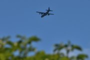 Morten 3 juli 2025 - Super Hercules 5601 over Høyenhall, den heter Frigg og er fra 2008. Jeg satser alt nå på at jeg har riktig, ellers så blir det en hel dag med korrigering