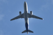 Morten 8 juli 2025 - EI-SCF besøker Høyenhall, men den har jeg ikke. Det er SAS Connect som kommer med sin Airbus A320-251N fra april 2025 og heter Frejdis Viking. Da må vi sitere. Freydís Eiríksdóttir var en islandsk kvinne som sies å være datter av Erik den røde, som figurerte fremtredende i det norrøne...