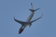 Morten 18 juni 2025 - LN-NIG over Høyenhall, klokken er 13.43 og jeg er ganske sikker på at dette er Norwegian Air Shuttle AOC som kommer med sin Boeing 737-8JP fra 2014. Jeg så den klokken 07.11 i dag morres, og jeg lurer litt på den ene piloten. Det er to piloter i et slikt fly?