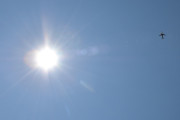 Morten 11 juni 2025 - SE-ROF over Høyenhall, klokken er 12.51 og det er SAS Scandinavian Airlines som kommer med sin Airbus A320-251N fra juni 2019 og heter Skallagrim Viking. Her fikk vi med solen også