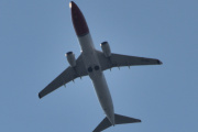 Morten 18 juni 2025 - LN-NIO over Høyenhall, klokken er 12.08 og jeg tror det er Norwegian Air Shuttle AOC som kommer med sin Boeing 737-81M fra 2008 og har UNICEF på halen. Har jeg sett den i juni før? Ja, den 2 og 9 juni 2025