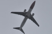 Morten 24 juni 2025 - LN-NIP over Høyenhall, klokken er 12.19 og det er Norwegian Air Shuttle AOC som kommer med sin Boeing 737-86N fra 2013 og heter Gidsken Jakobsen. Den så jeg 1 juni 2023 og har totalt 21 bilder