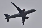 Morten 24 juni 2025 - SE-ROC over Høyenhall, klokken er 20.45 og jeg tror det er SAS Scandinavian Airlines som kommer med sin Airbus A320-251N fra juni 2017 og heter Torarin Viking. Den har jeg faktisk ikke registrert før så her må vi sitere. Torarin lovtunge var en islandsk skald hos kong Knut den mektige og senere også for hans sønn, den norske... Gratulerer med dagen, du har blitt 8 år :-)
