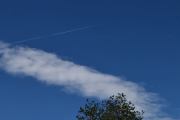 Morten 30 juni 2025 - Jetfly over Høyenhall, klokken er 11.36 og det er pent vær i dag. Stripen ser du og den lille prikken oppe i høyre hjørnet er flyet. Men det er et småfly like over tretoppen som jeg skal se litt nærmere på, men ikke her