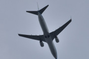 Morten 13 mai 2025 - PH-BXU over Høyenhall, klokken er 16.18 og jeg tror det er KLM Royal Dutch Airlines som kommer med sin Boeing 737-8BK fra 2006 og som heter Albatros / Albatross. Jeg så deg den 3 mai 2024 og har 5 bilder av deg nå