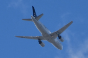 Morten 16 mai 2025 - OO-SSY over Høyenhall, klokken er 17.24 og jeg tror det er Brussels Airlines som kommer med sin Airbus A319-112 fra 2005 og er malt i Star Alliance farger. Den har jeg ikke tatt bilde av og den kom til Brussels Airlines i februar 2023. I tillegg til denne så er det OO-SNQ som jeg har sett med Star Alliance farger