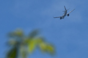 Morten 19 mai 2025 - Lufthansa over Høyenhall