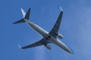 Morten 23 mai 2025 - PH-BGB over Høyenhall, klokken er 16.08 og det er KLM Royal Dutch Airlines som kommer med sin Boeing 737-8K2 fra mai 2008 og heter Regenwulp / Whimbrel. Den har jeg ikke registrert så her må vi sitere. Småspove er en fugleart i snipefamilien, den er en av våre største vadefugler, og har et langt nedover bøyd nebb