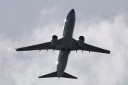 Morten 30 mai 2025 - PH-BGB over Høyenhall, klokken er 16.06 og jeg tror det er KLM Royal Dutch Airlines som kommer med sin Boeing 737-8K2 fra mai 2008 og heter Regenwulp / Whimbrel. Den har jeg kun sett den 23 mai 2025
