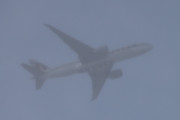 Morten 12 mars 2025 - Qatar Airways Cargo over Høyenhall
