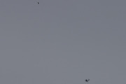Morten 24 mars 2025 - Airbus A400M Atlas over Høyenhall