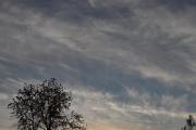 Morten 12 oktober 2025 - Flyene over Høyenhall, klokken er 17.52 og jeg har ikke like god oversikt på tidene når jeg tar bildene. Men her kommer det et stort fly