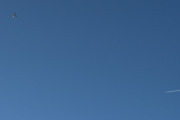Morten 14 oktober 2025 - LN-ENO og Lufthansa møtes over Høyenhall, klokken er 16.56 og vi ser Norwegian Air Shuttle AOC og Lufthansa i samme bilde. Dem møttes 19 juni 2024 også, jeg har bilde
