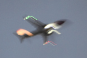 Morten 17 oktober 2025 - Norwegian over Høyenhall, klokken er 07.22 og dette blir alt for tidlig. Jeg har noen bilder fra 17 oktober 2021 og 17 oktober 2023, kanskje du er en av dem?