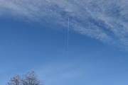 Morten 31 oktober 2025 - Jetfly over Høyenhall, klokken er 10.35 og nå blir det litt blå himmel. Det var ingen fugler i treet, men hvordan er 31 oktober tro?