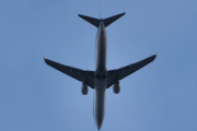 Morten 21 september 2025 - PH-BXT over Høyenhall, klokken er 17.59 og jeg tror det er KLM Royal Dutch Airlines som kommer med sin Boeing 737-9K2 fra 2004 og som heter Zeestern / Sea Tern. Jeg siterte den 12 januar 2024, men er ikke fornøyd. Så nå er jeg på Havternen, du må nok til det sørlige Danmark eller nordlige Tyskland hvis du skal finne denne fuglen