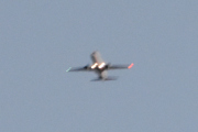Morten 20 april 2026 - Stort fly over Høyenhall