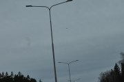 Morten 22 april 2026 - Stort fly over Taraldsrud