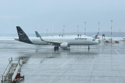 Liv 12 januar 2025 - D-AIEG på Hamburg lufthavn