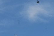 Morten 23 mai 2026 - Norwegian og Politihelikopter møtes over Høyenhall
