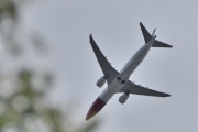 Morten 27 mai 2026 - LN-FGI over Høyenhall