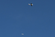 Morten 3 mai 2026 - Star Alliance og LN-YOZ møtes over Høyenhall
