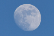 Morten 30 mars 2026 - Lufthansa over Høyenhall