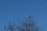 Morten 31 mars 2026 - Sunclass Airlines over Høyenhall