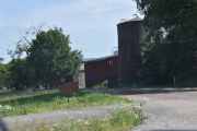 Søndag - Kalkunfarmen