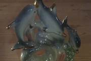 Delfin som snuser