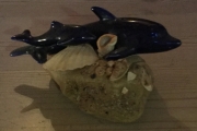Delfin på sten