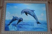 Delfin bilde i ramme tre dimensjonalt