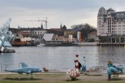 På Bjørvika finner vi ikke en Delfin men vi finner to til Tinamor