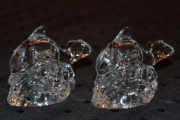 To glass Delfiner