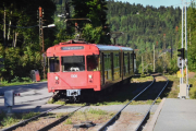 Tenk, bare å sette seg på T-banen og en halv time etterpå er du ute i skogen