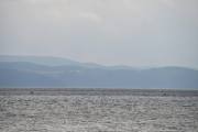 Føler litt på at vi skal snu snart, begynner å bli bare havet der ute
