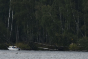 En båt til, noe i vannet rett fremfor båten og så noen Sauer igjen på høyre side