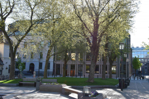 Tur til Bankplassen 3 mai 2019