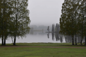 Tur til Sørkedalen 11 og 17 mai 2019