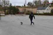 Nå vet jeg ikke hvem som er mest tissatrengt, sjåføren eller hunden, men toalettet på låven er jo stengt