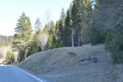 Vi passerer Rundelen minnepark hvor det står to minnesmerker, den eldste er en bauta over Gregers Granavollens bedrift i den store nordiske krig i 1716 og den andre er til minne om kampene mot tyskerne på Stryken, Harestuvollen og Bjørgesæter 14-16 april 1940