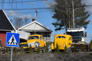 Gult er kult, og den ene kjenner jeg igjen. Men her er det nå planta tuja, så det blir kanskje slutt på innsynet