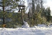 Knut 28 desember 2018 - Nå er den oppe ved fuglematen