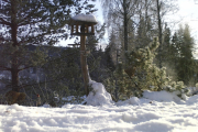 Knut 28 desember 2018 - Og etterpå oppdaget han en Dompap, helt utrolig. Den er nederst til venstre