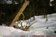 Knut 4 mars 2018 - Sånn går det etter et batteriskift og tar feil av PM og AM