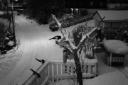 Morten 13 januar 2018 - Den har med seg kompisene sine