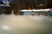 Morten 22 februar 2018 - Ble masse spennende bilder denne dagen men de må kroppes
