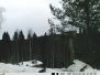 Viltkamera 2019